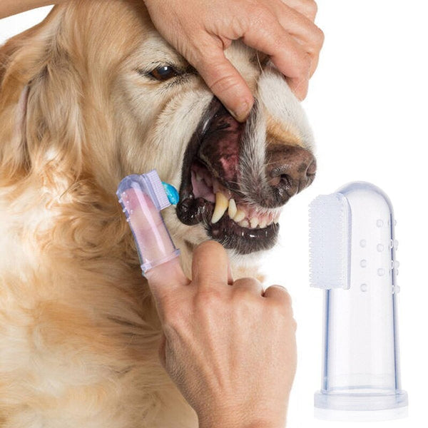 Best Dog Toothbrushes