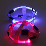 Led Nylon Dog Harness 