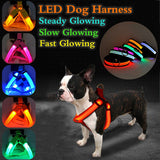 Led Nylon Dog Harness 